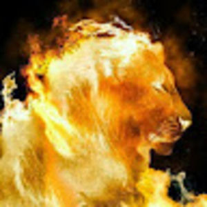 Meet your Posher, Jorge